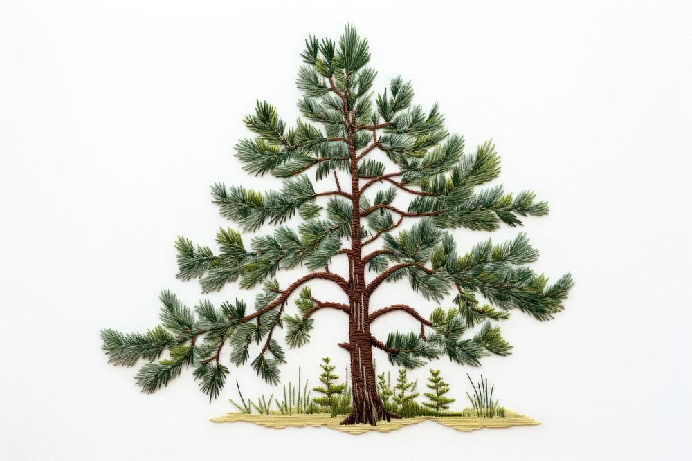 Pine plant tree tranquility. AI generated Image by rawpixel.