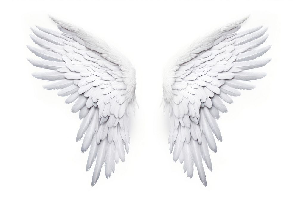 Angel white bird wing. AI | Free Photo - rawpixel