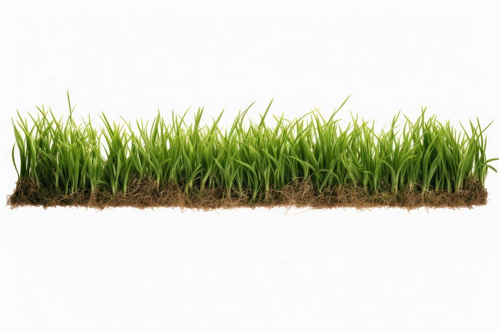 A grass borders plant soil lawn. AI generated Image by rawpixel.
