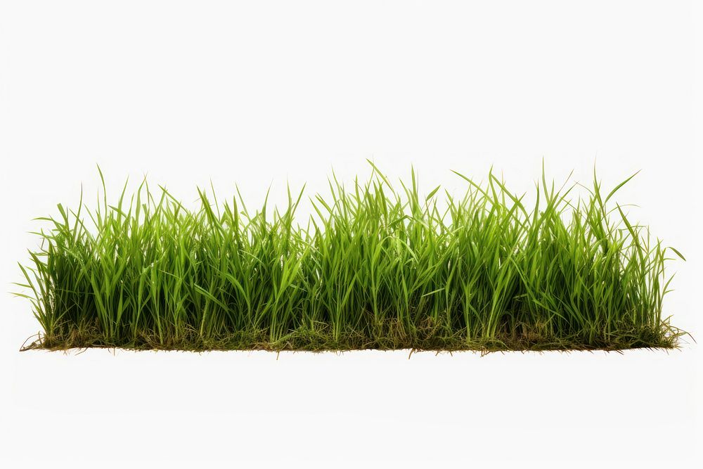 A grass borders plant field lawn. AI generated Image by rawpixel.