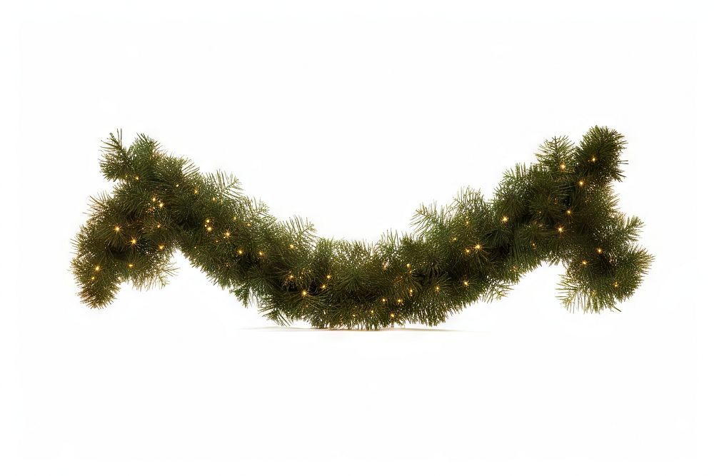 Christmas decoration plant tree christmas decorations. AI generated Image by rawpixel.