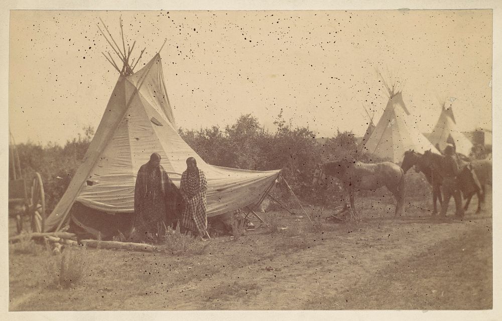 [Native American Women and Horses by Teepee in Camp]