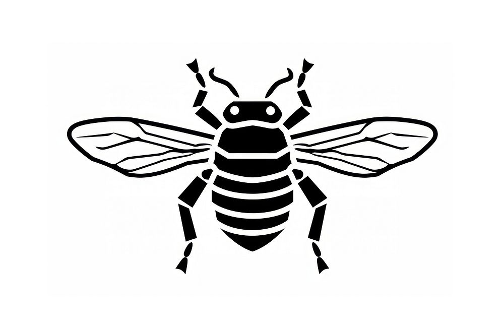 Scarab icon insect animal white. AI generated Image by rawpixel.