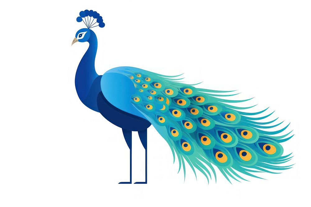 A peacock animal bird white background. AI generated Image by rawpixel.