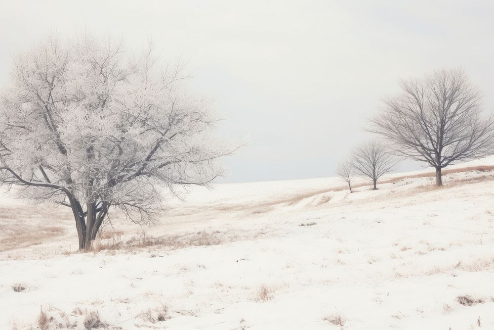 Winter landscape snow outdoors nature. AI generated Image by rawpixel.