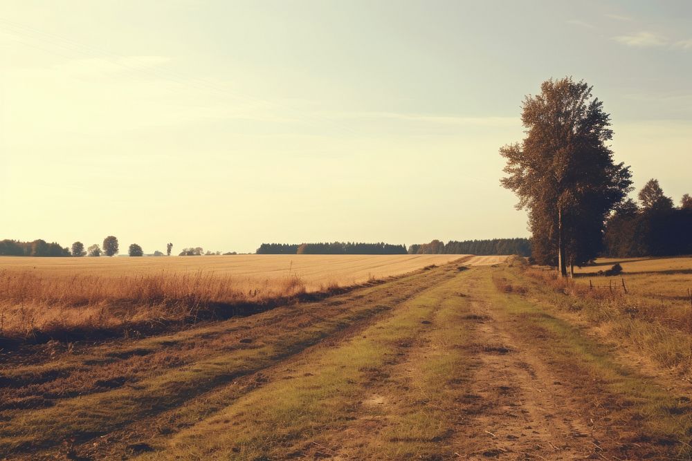 Countryside landscape outdoors horizon nature. AI generated Image by rawpixel.