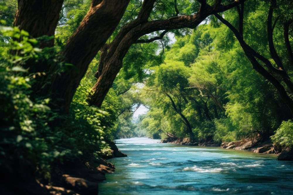River forest tree landscape. AI generated Image by rawpixel.
