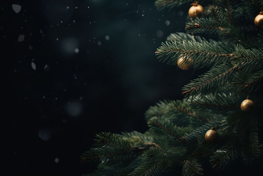 Christmas background christmas backgrounds plant. AI generated Image by rawpixel.