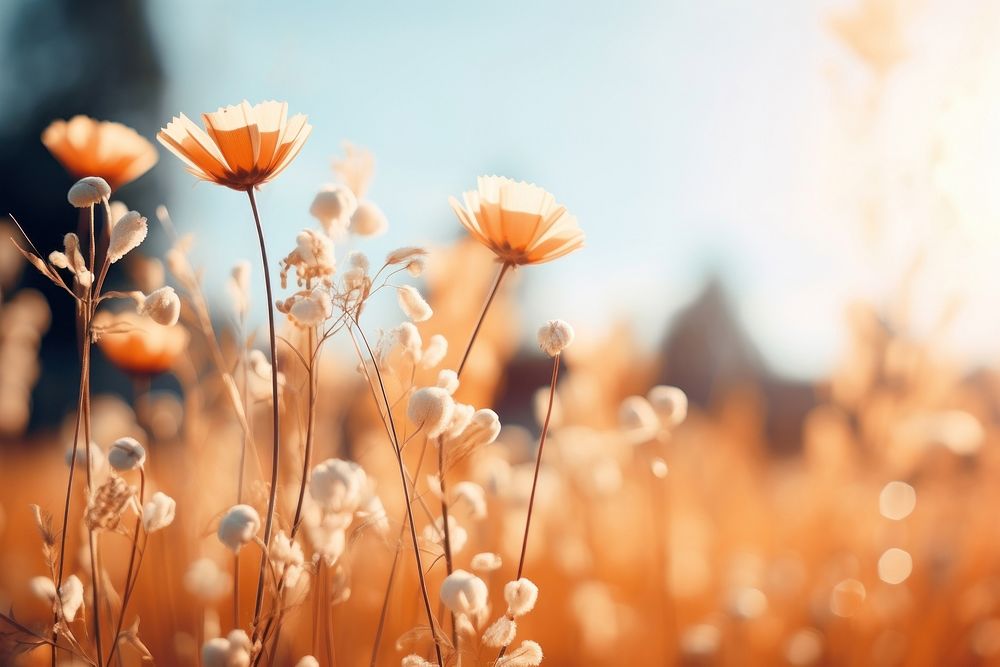 Wild flowers nature backgrounds landscape. AI generated Image by rawpixel.