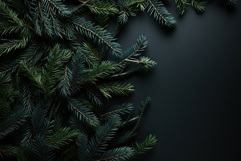 Christmas tree backgrounds christmas. AI generated Image by rawpixel.