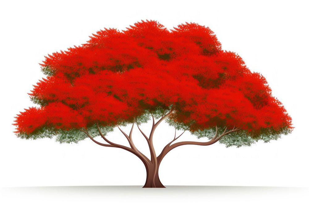 Pohutukawa tree plant maple white background. AI generated Image by rawpixel.