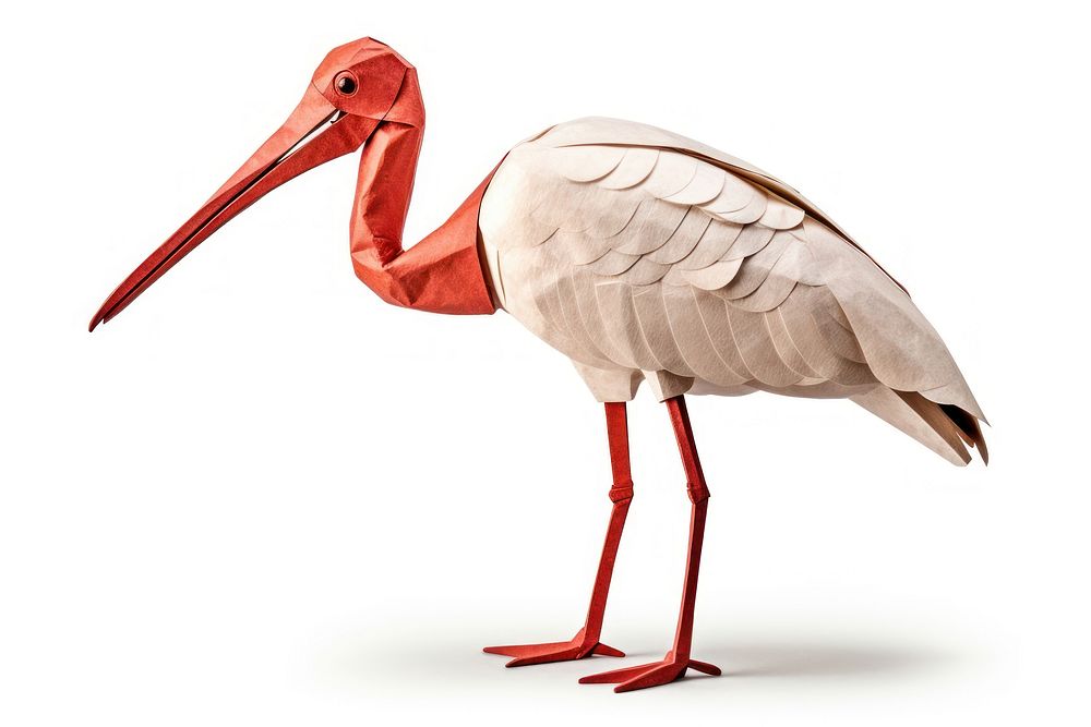 Ibis animal stork bird. AI generated Image by rawpixel.