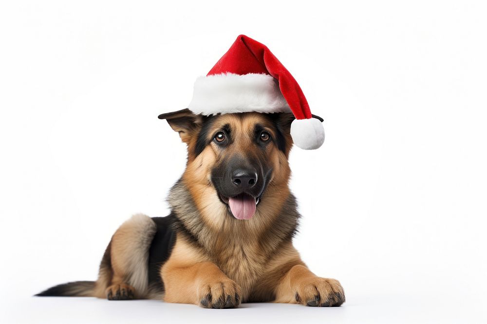 Christmas dog mammal animal pet. AI generated Image by rawpixel.