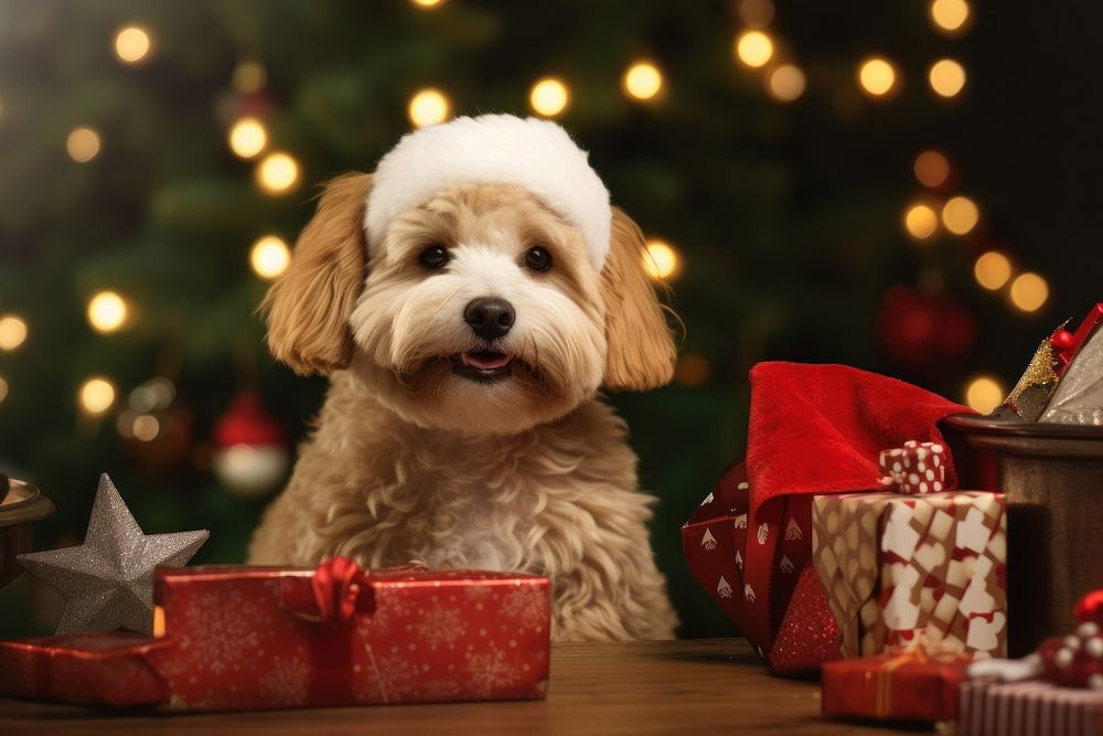 Christmas dog mammal animal puppy. AI generated Image by rawpixel.
