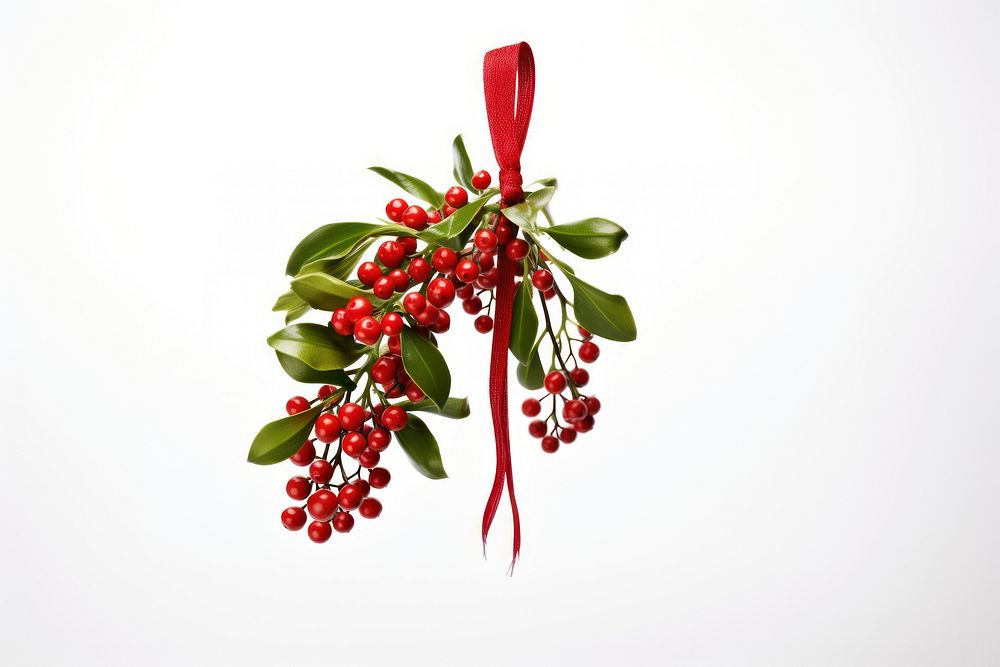 Plant christmas tradition hanging. AI generated Image by rawpixel.