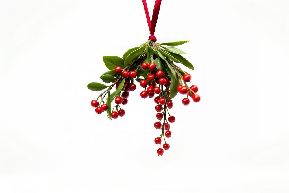 Plant christmas hanging holiday. AI generated Image by rawpixel.