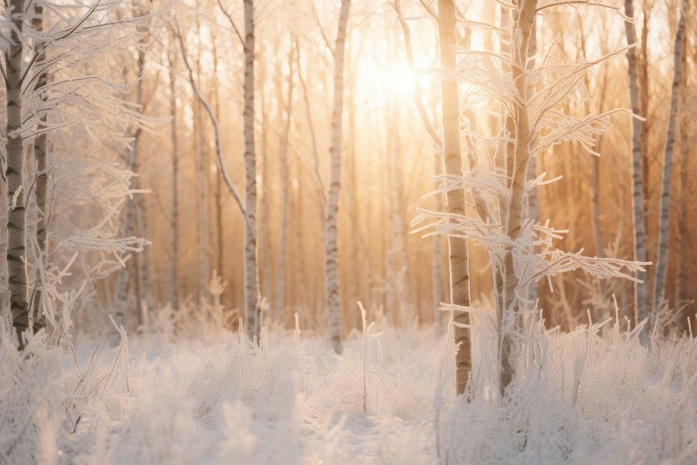 Forest frost landscape outdoors. AI generated Image by rawpixel.