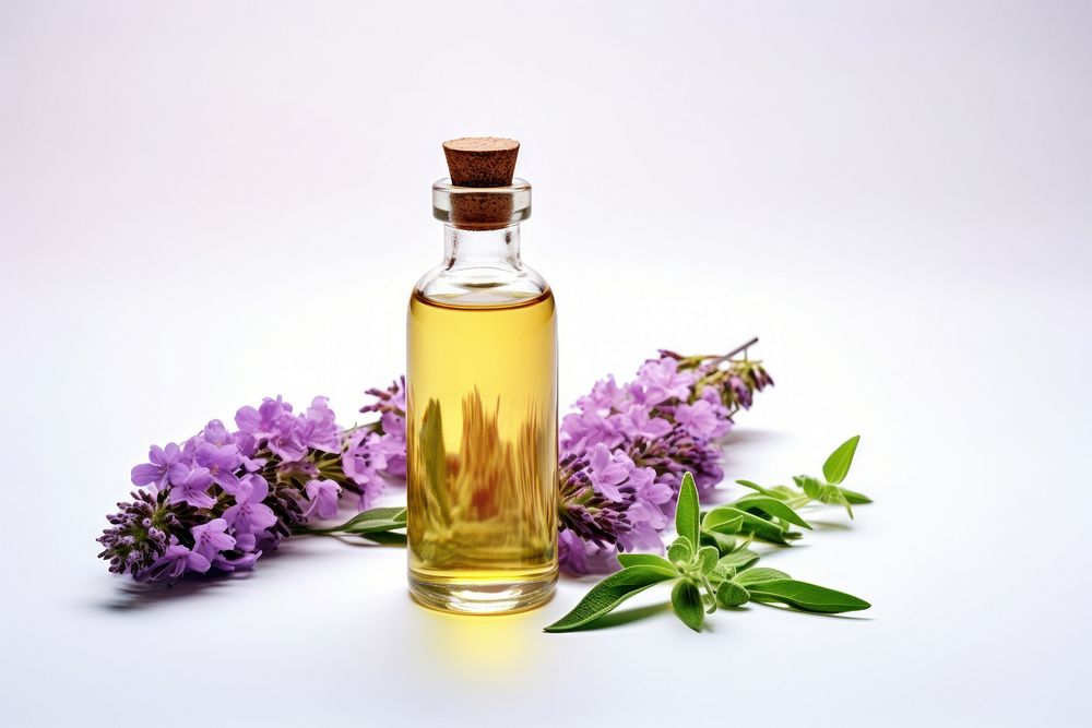 Bottle flower perfume plant. AI generated Image by rawpixel.