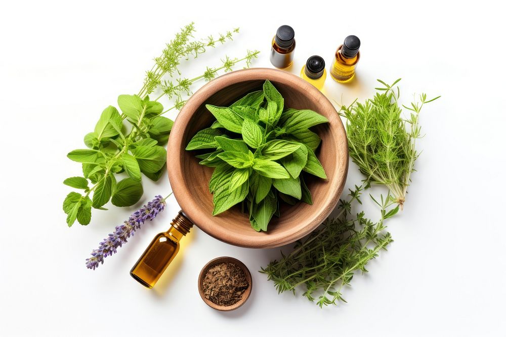Bottle herbs perfume plant. AI generated Image by rawpixel.
