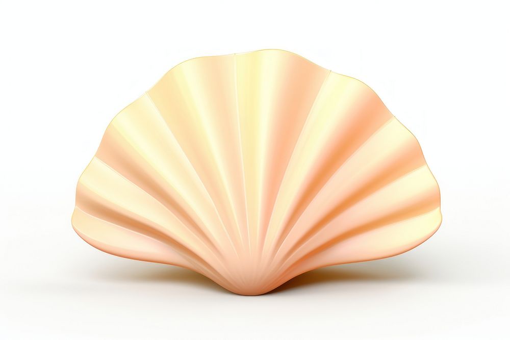 Cartoon sea shell white background invertebrate simplicity. AI generated Image by rawpixel.