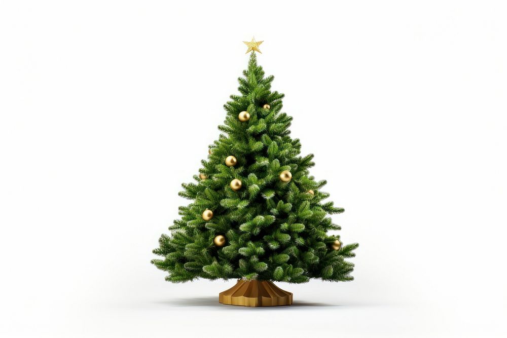 Christmas tree plant pine white background. AI generated Image by rawpixel.