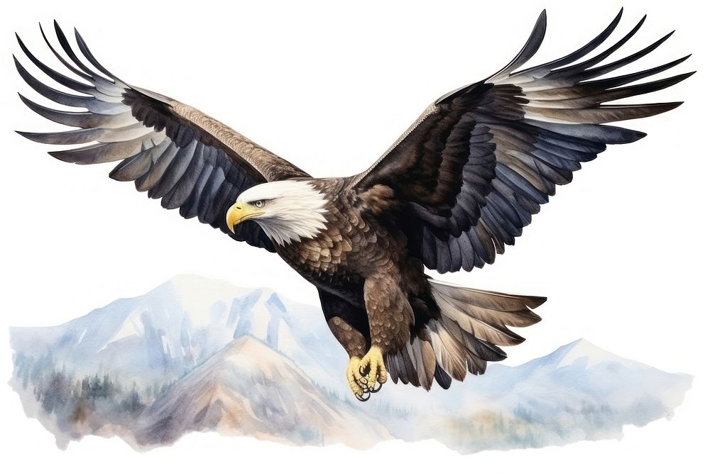 Eagle flying watercolor animal bird beak. AI generated Image by rawpixel.