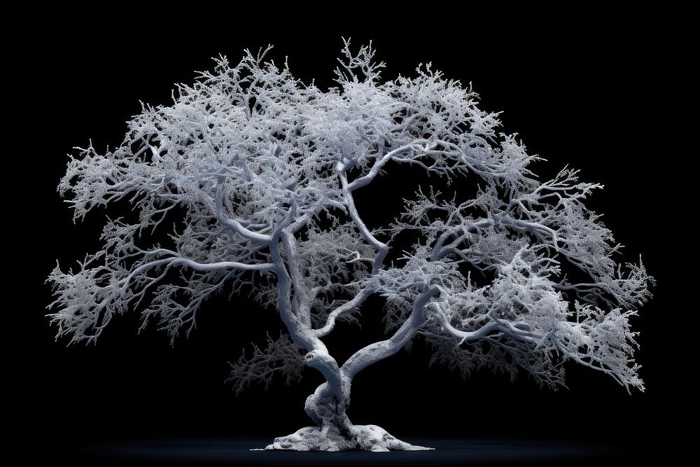 Frosty tree nature plant snow. AI generated Image by rawpixel.