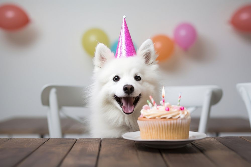 A white bib dog birthday dessert. AI generated Image by rawpixel.