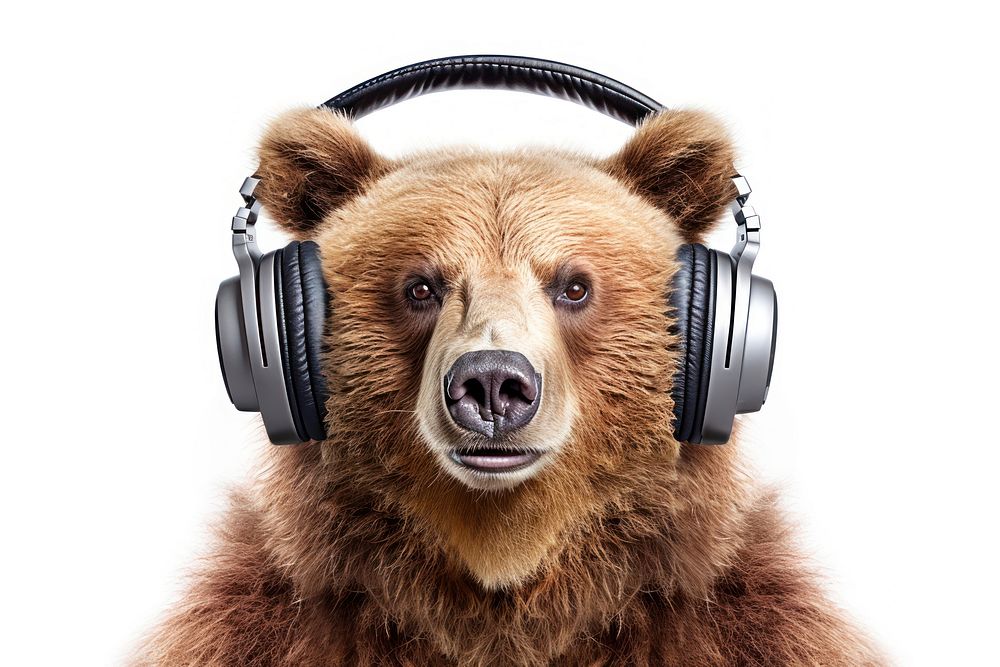 Bear headphones mammal white background. AI generated Image by rawpixel.