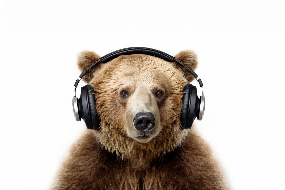Headphones bear headset mammal. AI generated Image by rawpixel.