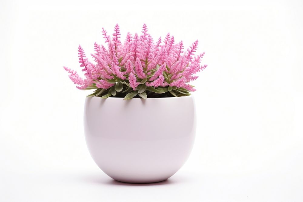 Flower plant vase flowerpot. AI generated Image by rawpixel.