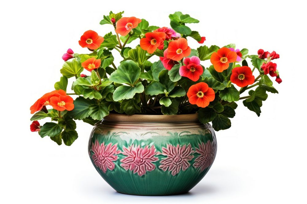 Flower plant vase flowerpot. AI generated Image by rawpixel.