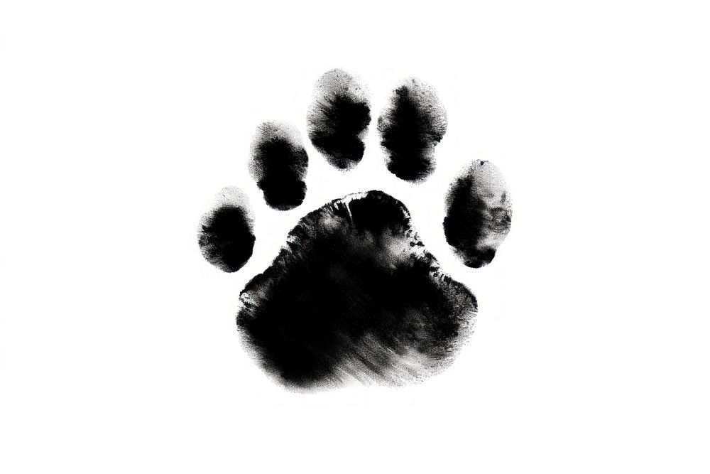 Black a man footprint paw animal mammal black. AI generated Image by rawpixel.