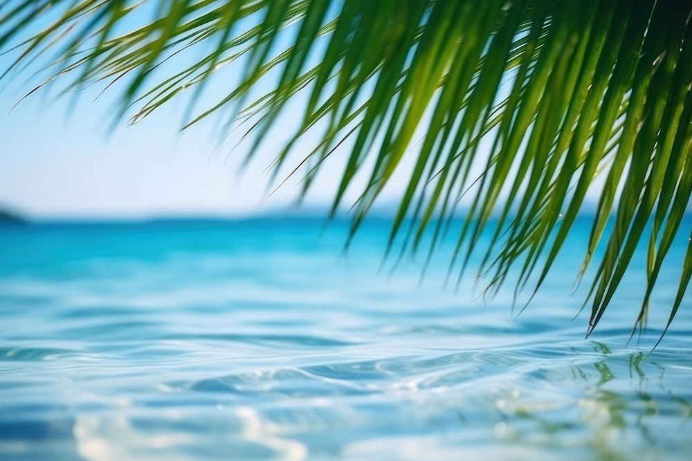 Coconut tree summer sea outdoors. AI generated Image by rawpixel.