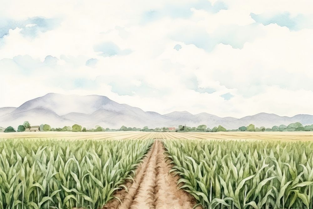 Argiculture field agriculture landscape outdoors. AI generated Image by rawpixel.