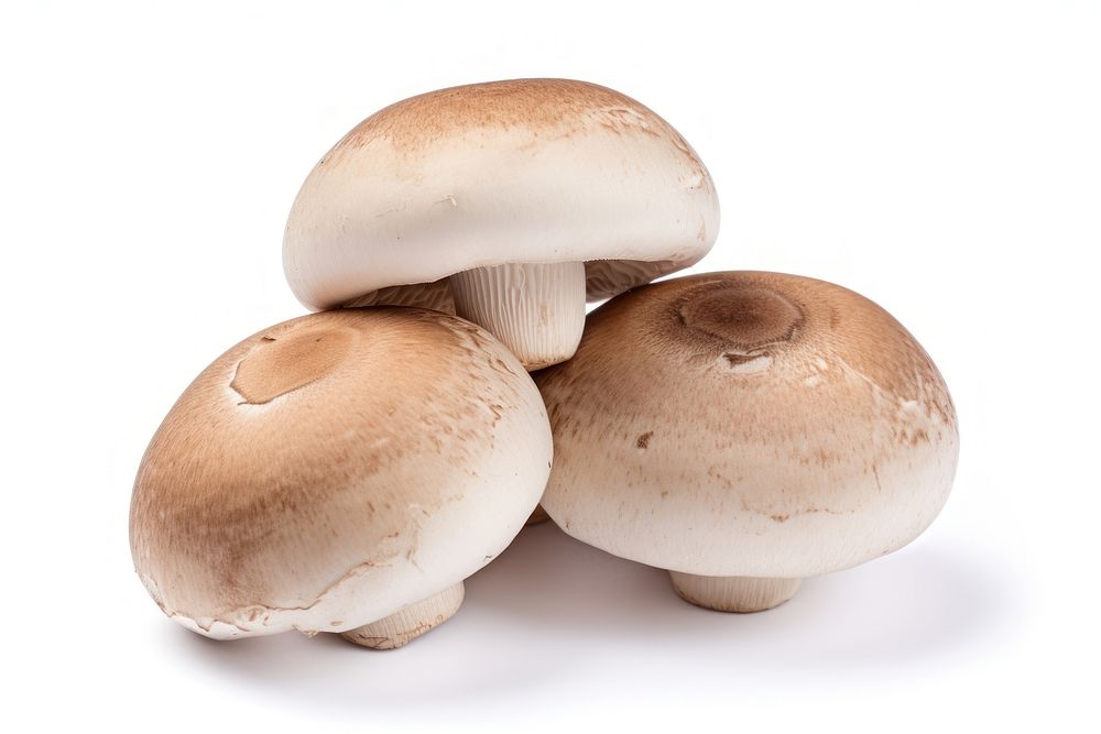 Champignons mushrooms food fungus white background. AI generated Image by rawpixel.