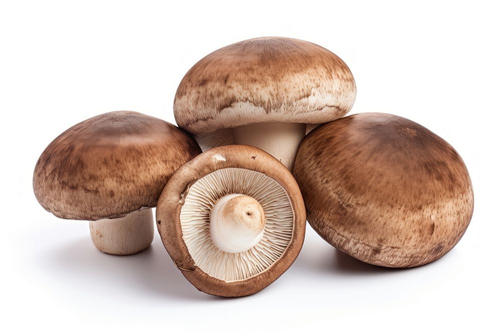 Portobello mushrooms food fungus white background. AI generated Image by rawpixel.