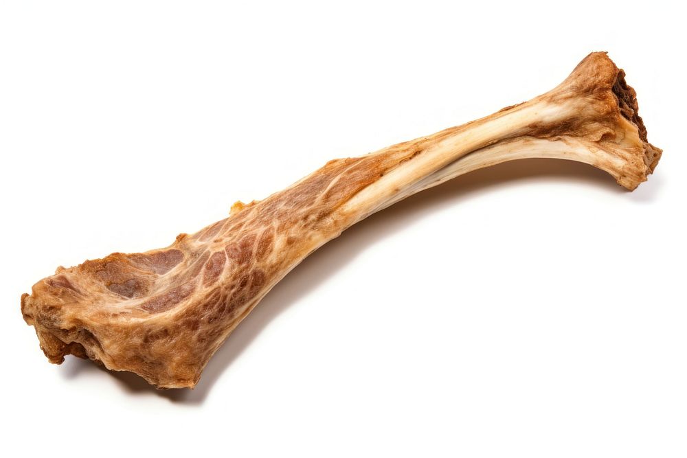 Bone food meat white background. AI generated Image by rawpixel.
