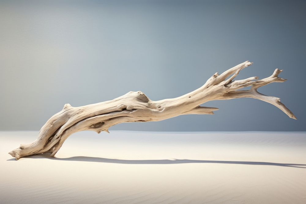 Driftwood nature branch animal. AI generated Image by rawpixel.