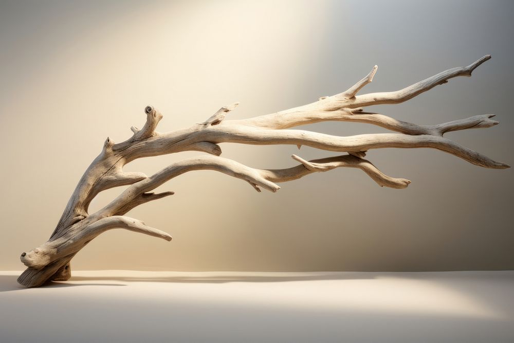 Driftwood branch nature antler. AI generated Image by rawpixel.
