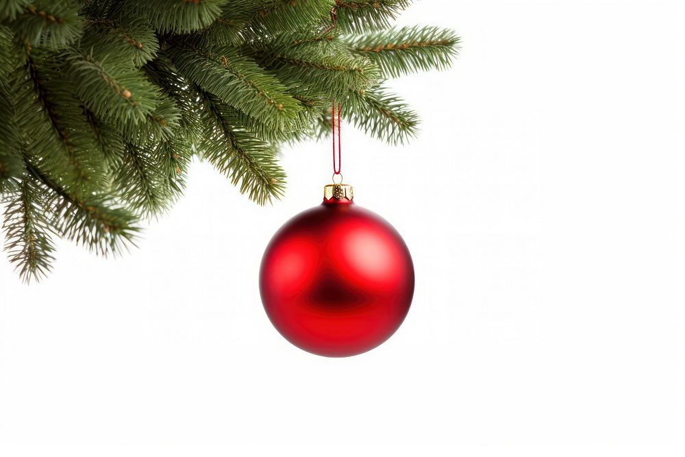 Christmas tree hanging branch. AI generated Image by rawpixel.