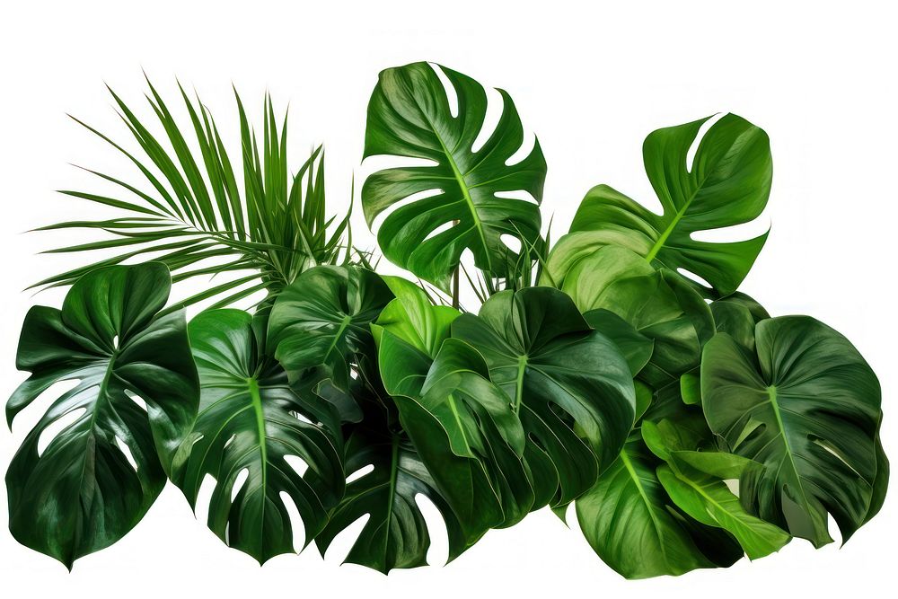 Tropical leaves plant green leaf. AI generated Image by rawpixel.