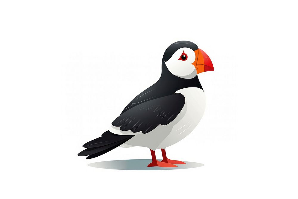 Puffin animal bird white background. AI generated Image by rawpixel.