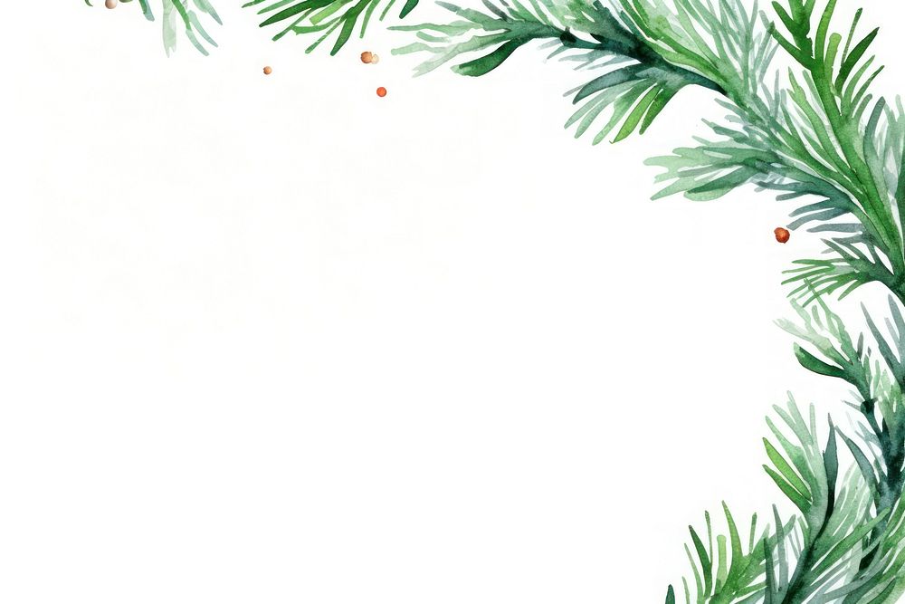 Fir branches frame backgrounds plant tree. AI generated Image by rawpixel.