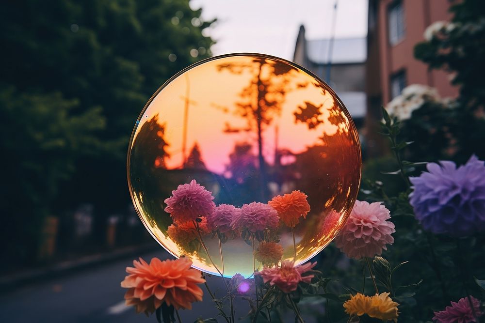 Mirror flower outdoors sphere. AI generated Image by rawpixel.