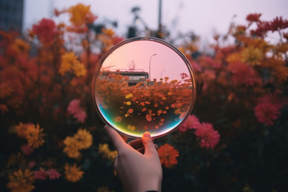 Mirror outdoors circle nature. AI generated Image by rawpixel.
