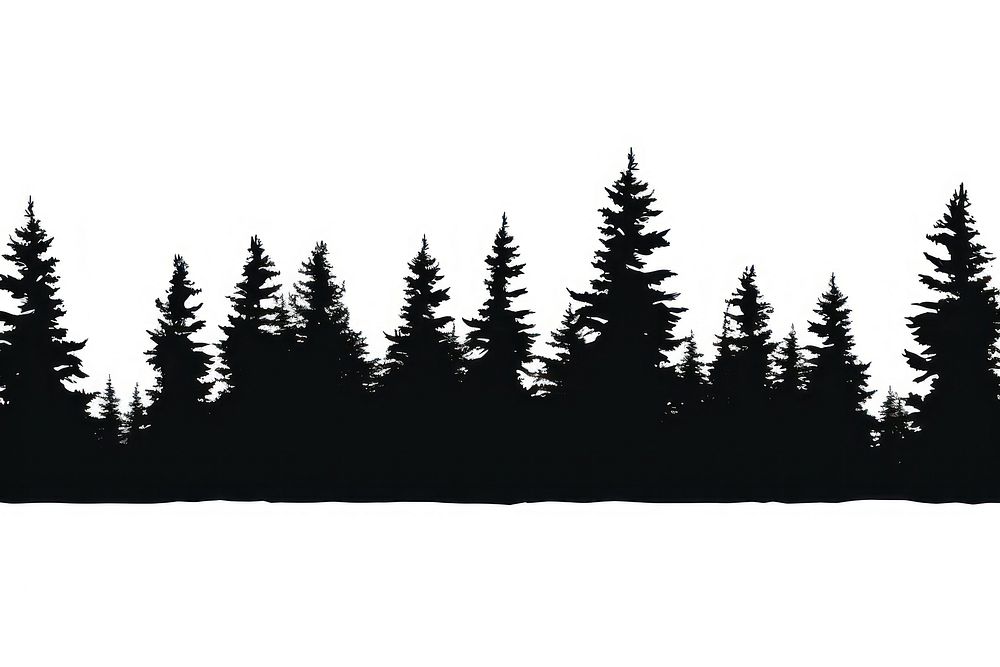 Evergreen conifer silhouette plant tree. AI generated Image by rawpixel.