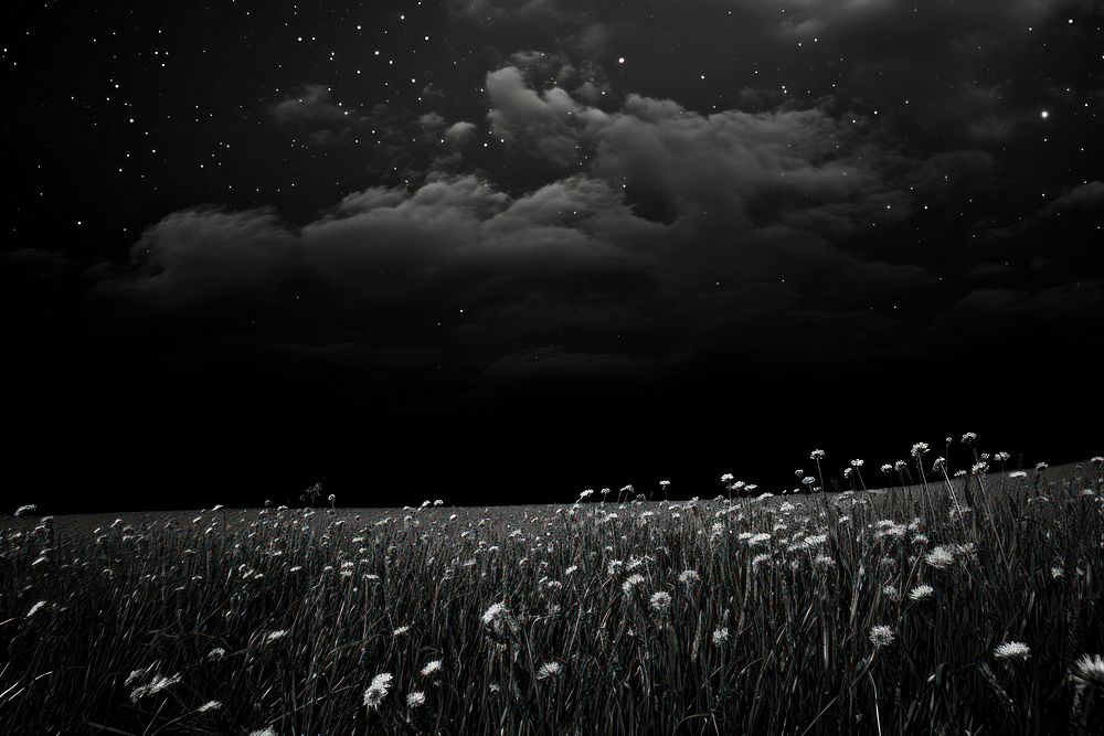 Landscape flower field sky. AI generated Image by rawpixel.