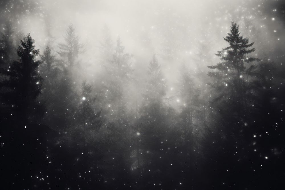 Forest tree fog outdoors. AI generated Image by rawpixel.