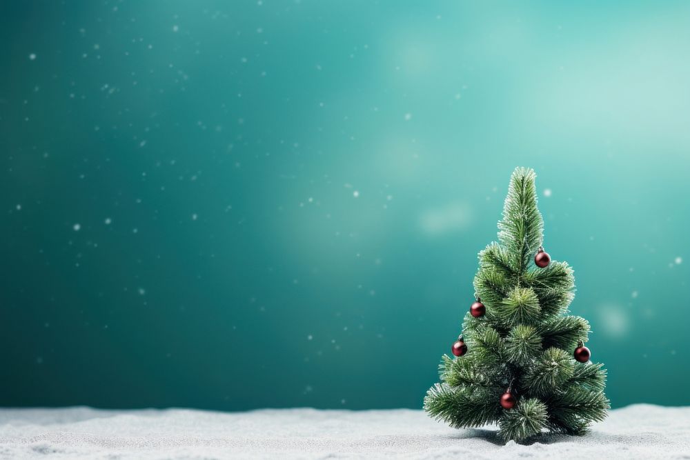 Christmas green background tree plant white. AI generated Image by rawpixel.